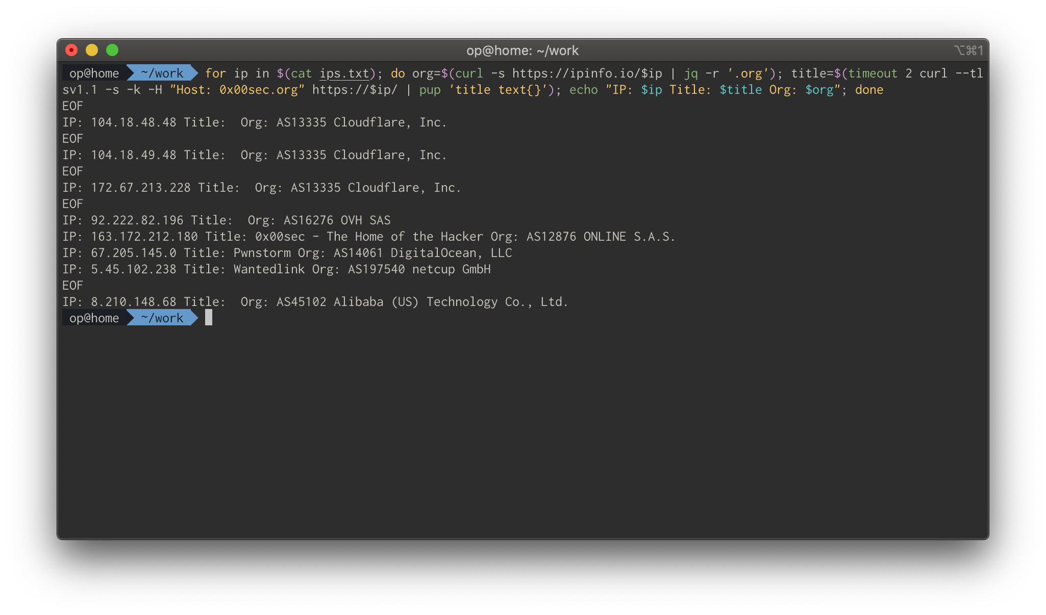 Terminal output listing each IP's title and organization, revealing the matching source host