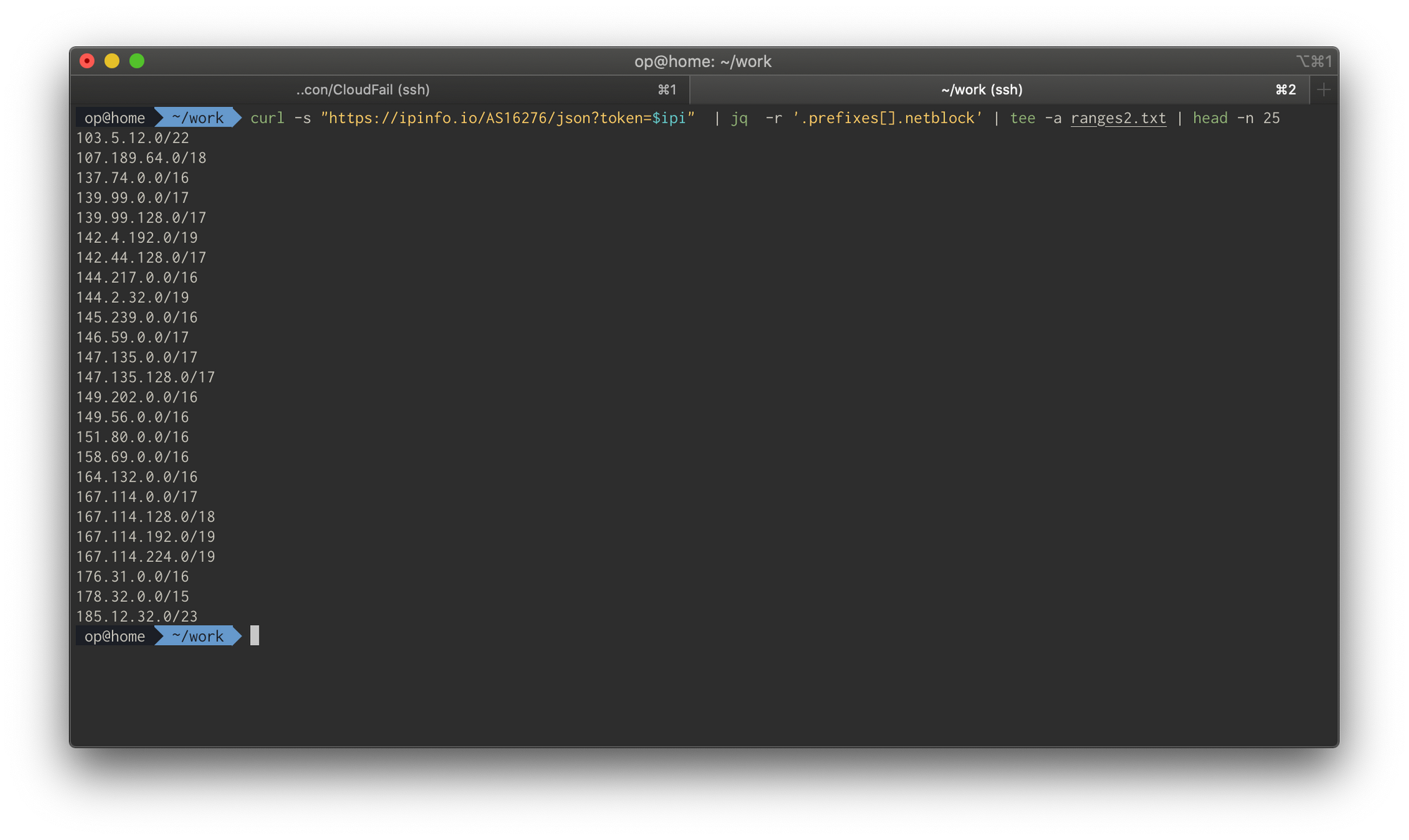 Terminal output pulling ASN netblock ranges from the ipinfo.io API