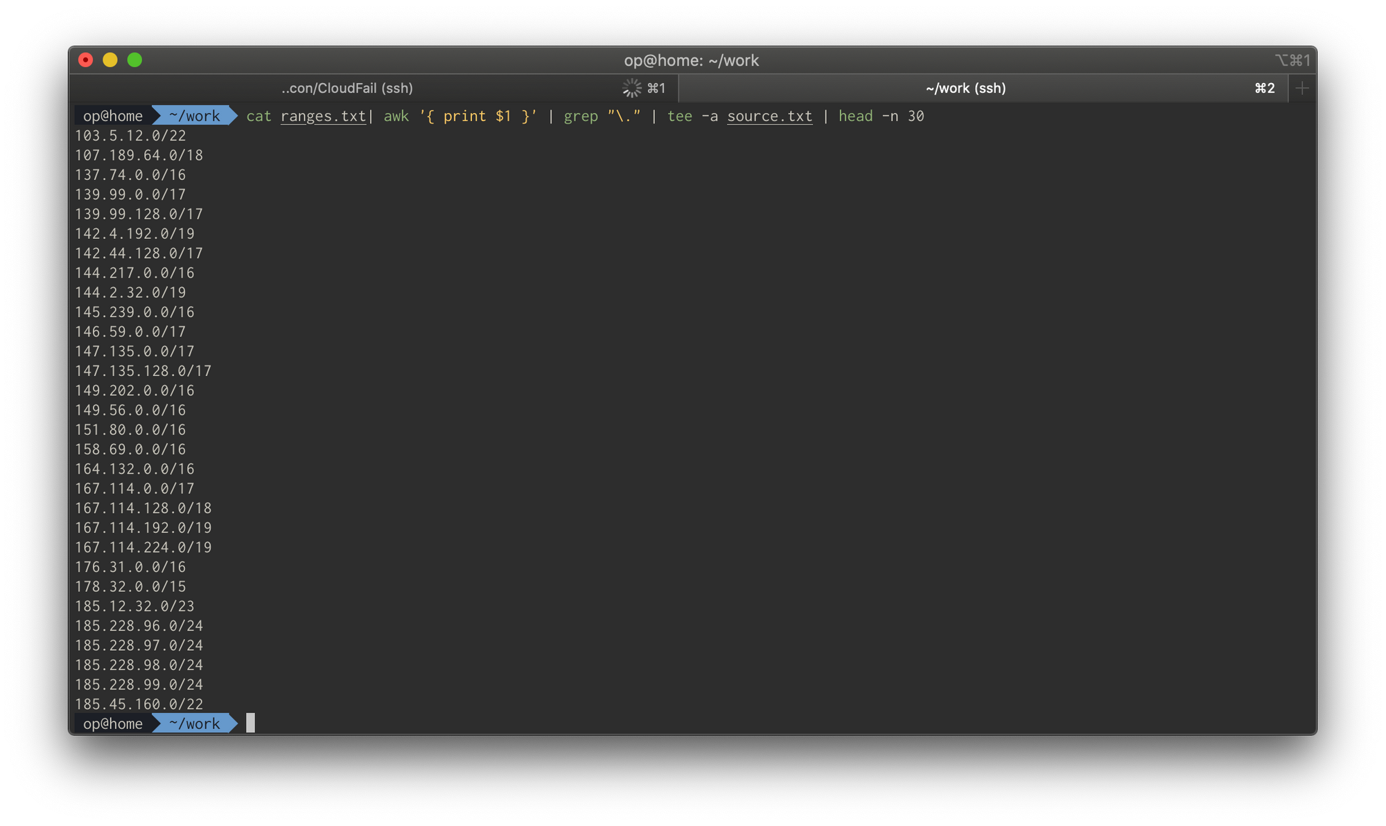 Terminal output filtering the ranges file down to netblock entries