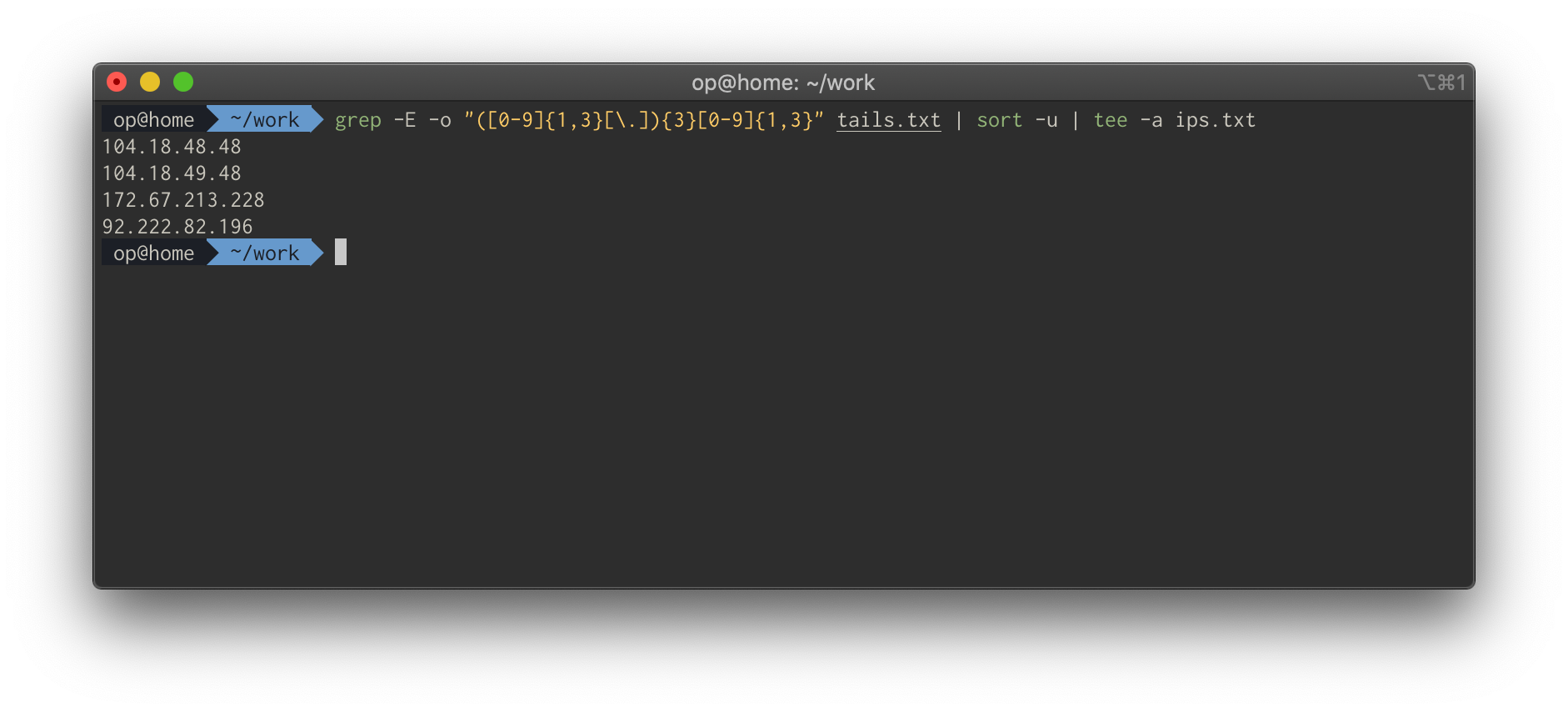 Deduplicated list of IP addresses written to ips.txt